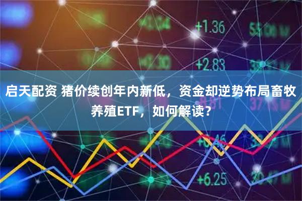 启天配资 猪价续创年内新低，资金却逆势布局畜牧养殖ETF，如何解读？
