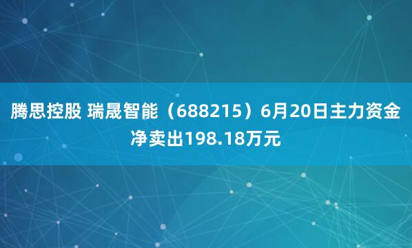 腾思控股 瑞晟智能（688215）6月20日主力资金净卖出198.18万元