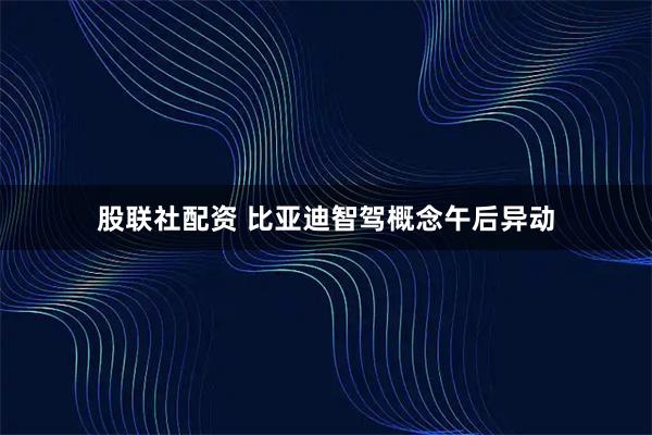 股联社配资 比亚迪智驾概念午后异动