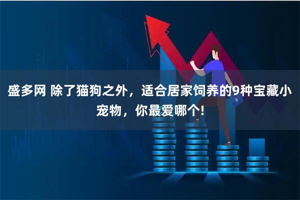 盛多网 除了猫狗之外，适合居家饲养的9种宝藏小宠物，你最爱哪个!